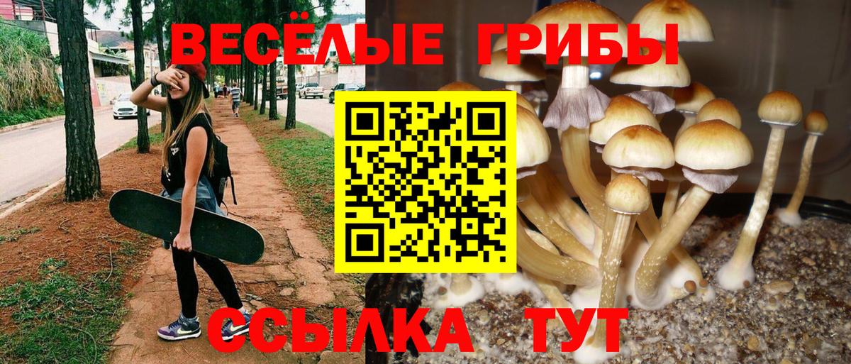 Галлюциногенные грибы Magic Shrooms Нурлат