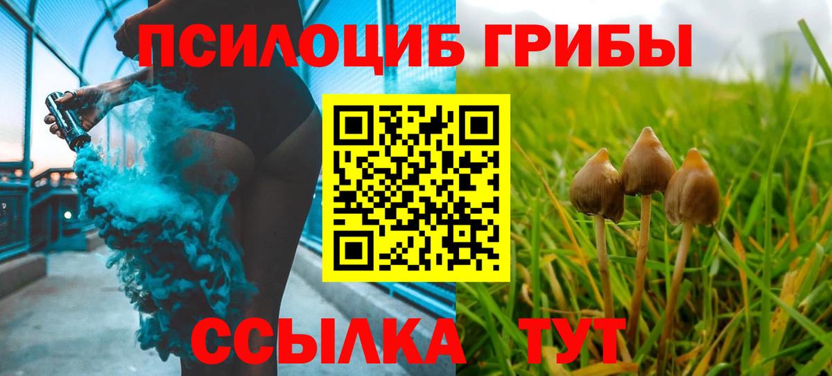 Галлюциногенные грибы прущие грибы  Галлюциногенные грибы Magic Shrooms  Нурлат  Вход с VPN 